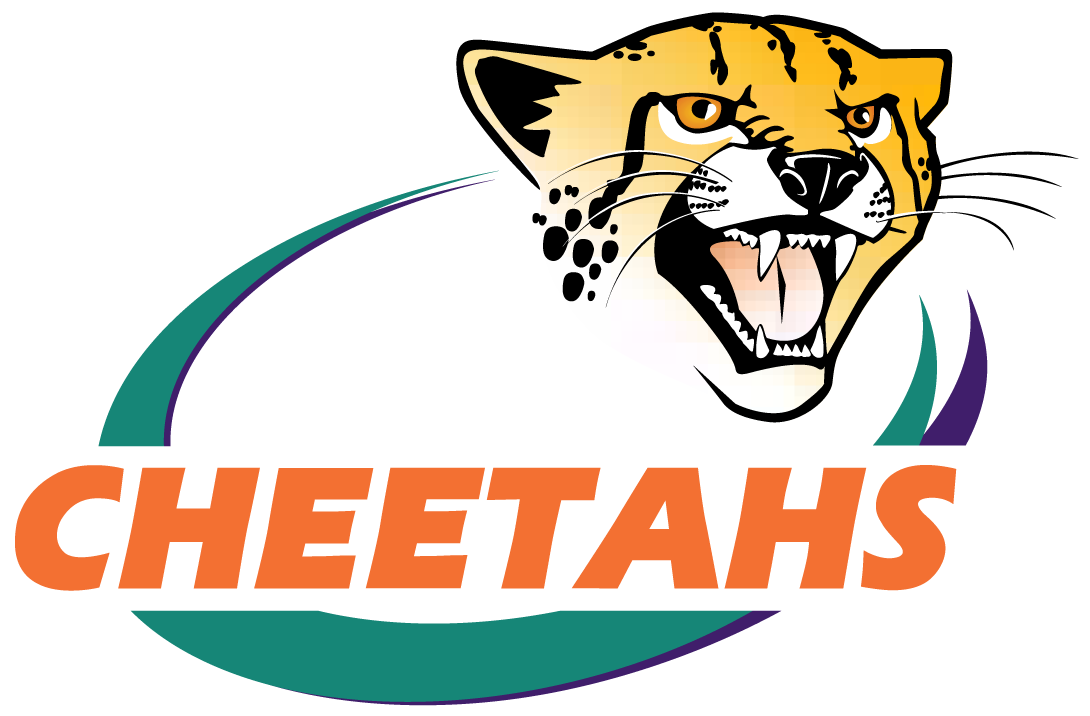 Central Cheetahs 2005-Pres Primary Logo iron on transfers for clothing